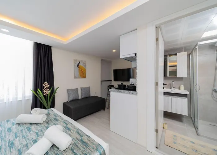 Studio Apartment